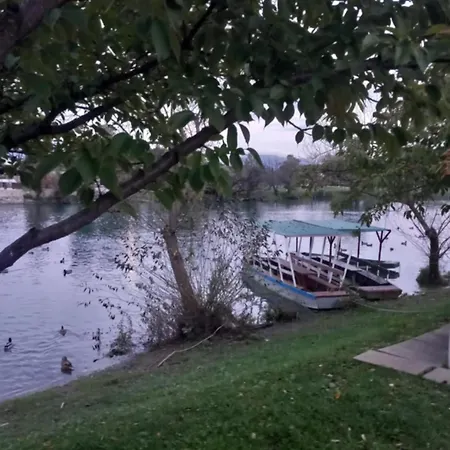 Dea * Bihać