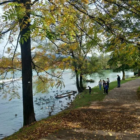 Dea Bihac